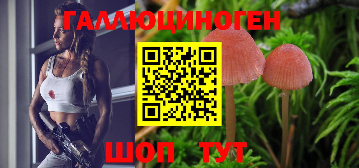 Псилоцибиновые грибы Cubensis Верхняя Пышма