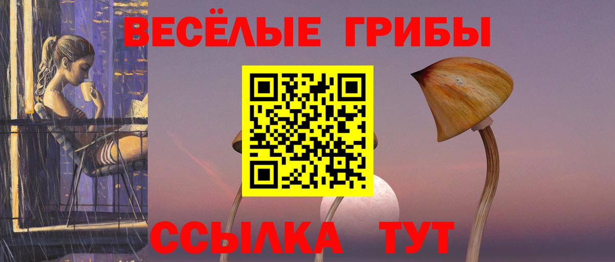 Верхняя Пышма  Галлюциногенные грибы GOLDEN TEACHER  Вход с VPN 